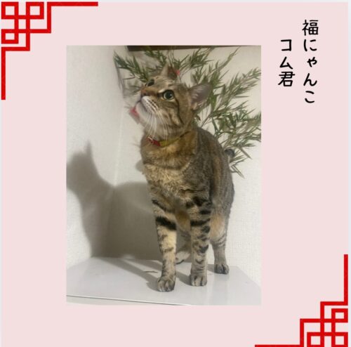 2025%e5%b9%b41%e6%9c%8813%e6%97%a5%e3%83%96%e3%83%ad%e3%82%b02