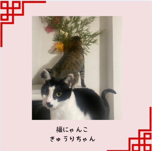 2025%e5%b9%b41%e6%9c%8813%e6%97%a5%e3%83%96%e3%83%ad%e3%82%b03