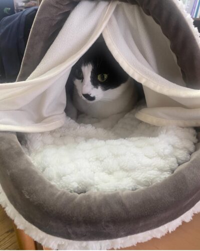 2025%e5%b9%b42%e6%9c%8822%e6%97%a5%e3%83%96%e3%83%ad%e3%82%b02