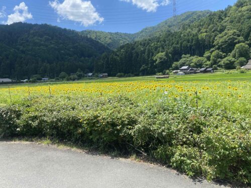 %e3%83%96%e3%83%ad%e3%82%b01