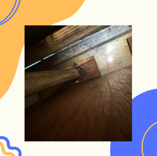 2025-08-05-%e3%83%96%e3%83%ad%e3%82%b02