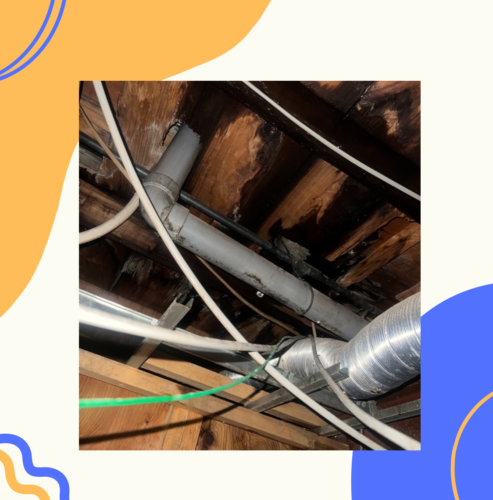 2025-09-08-%e3%83%96%e3%83%ad%e3%82%b03