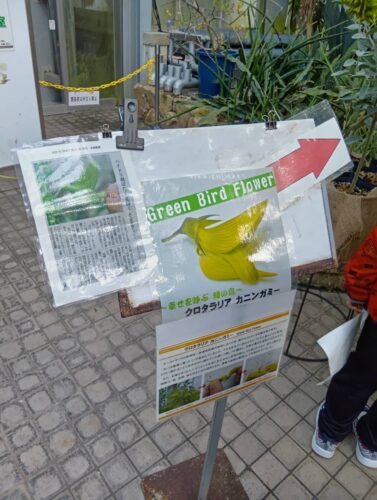 %e3%82%b9%e3%83%88%e3%83%aa%e3%83%bc2