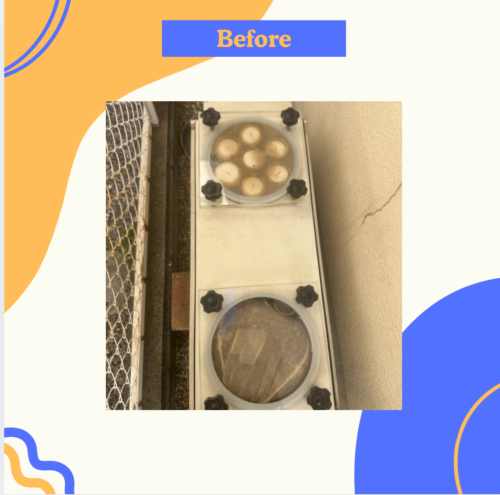 2025-12-01-%e2%91%a1