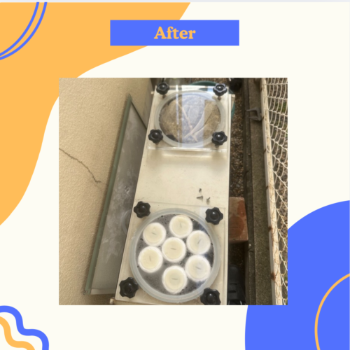 2025-12-01-%e2%91%a2