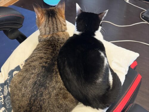 b4295bb6-e1c4-4eb8-9a0d-84691ef82c27